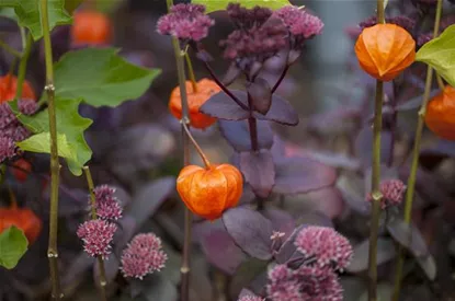 Schaurig schöne Tischgirlande aus Physalis