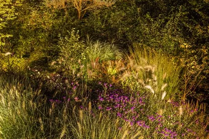 Lichtquellen machen den Garten schöner!