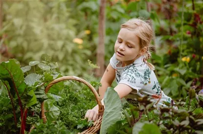 Jetzt kann geerntet werden! Kinder spielerisch einbeziehen